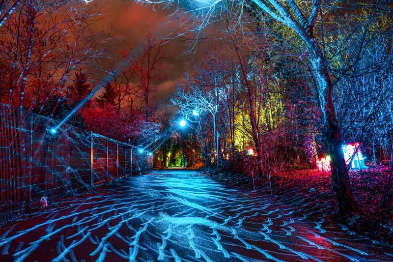 plan your visit to Windsor Great Park Illuminated