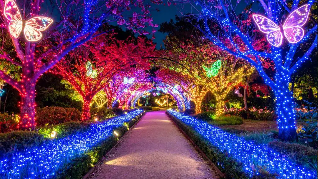 Winter Nights Under the Lights