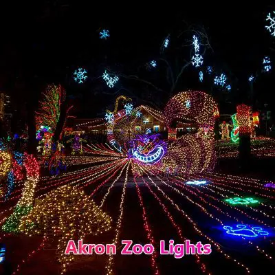 Akron Zoo Lights 