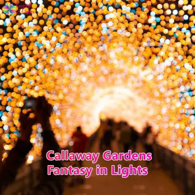 Callaway Gardens Fantasy in Lights