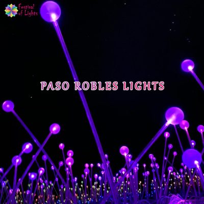 Paso Robles Lights