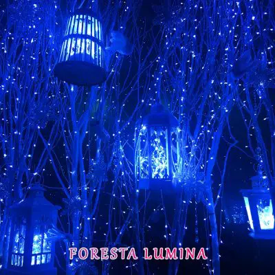 Foresta Lumina