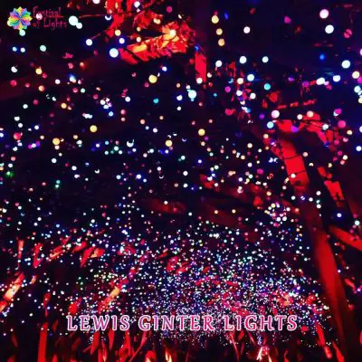 Lewis Ginter Lights