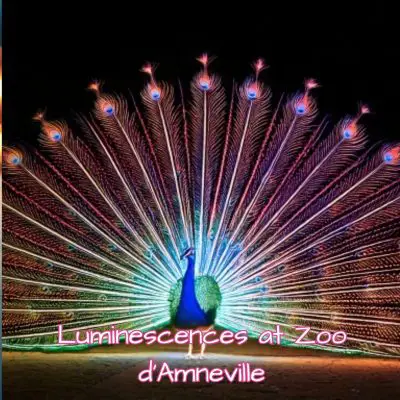 Luminescences Zoo Amneville