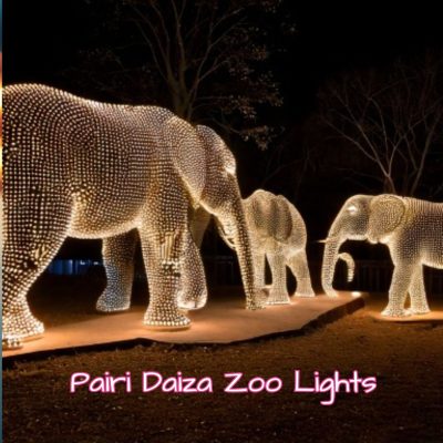 Pairi Daiza zoo lights