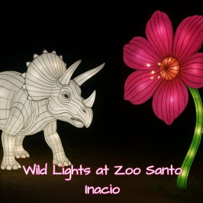 Wild Lights at Zoo Santo Inácio