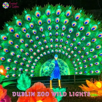 dublin zoo wild lights