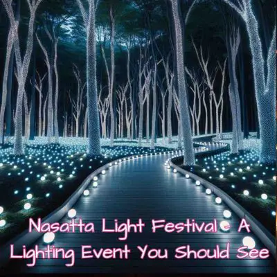 nasatta light main