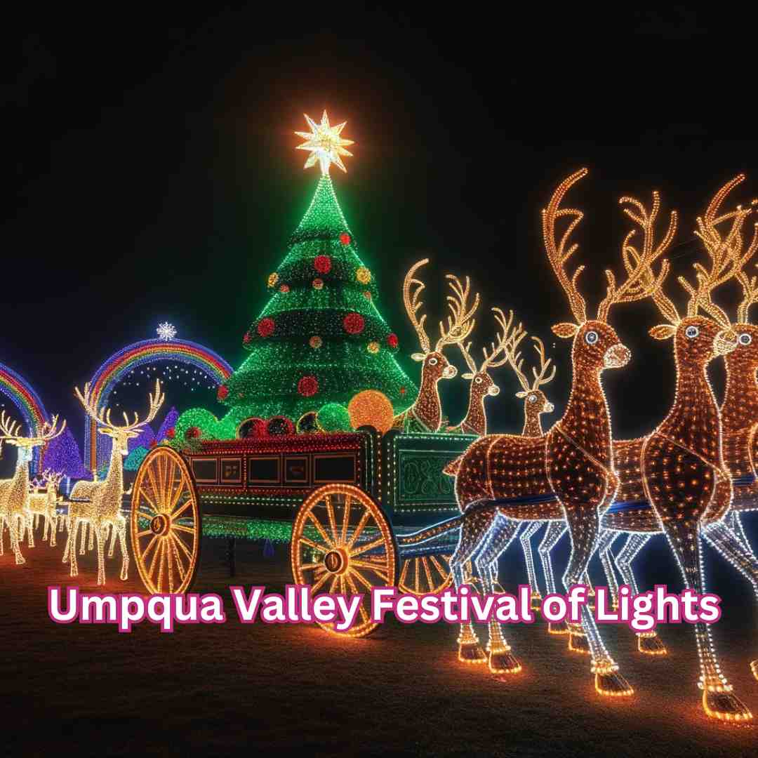 umpqua valley lights main image